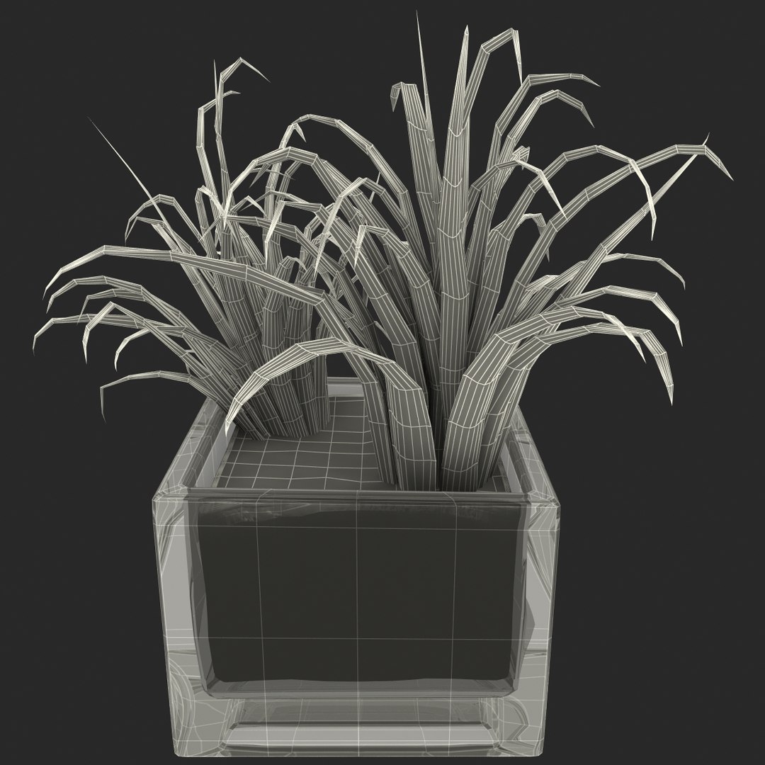 shrub dracaena square glass vase 3ds https://p.turbosquid.com/ts-thumb/X9/owHMa0/0hHaw9hn/shrubdracaenainsquareglassvase_30/jpg/1396473986/1920x1080/fit_q87/6857ea99ab9ead3be1cf9189ace9358a531298fc/shrubdracaenainsquareglassvase_30.jpg