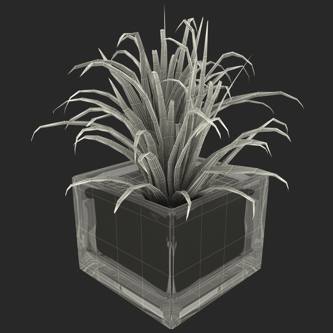 shrub dracaena square glass vase 3ds https://p.turbosquid.com/ts-thumb/X9/owHMa0/1EKQaz5a/shrubdracaenainsquareglassvase_33/jpg/1396473995/1920x1080/fit_q87/0433f2452f010e4aacabea57821fbd7020f6baa9/shrubdracaenainsquareglassvase_33.jpg