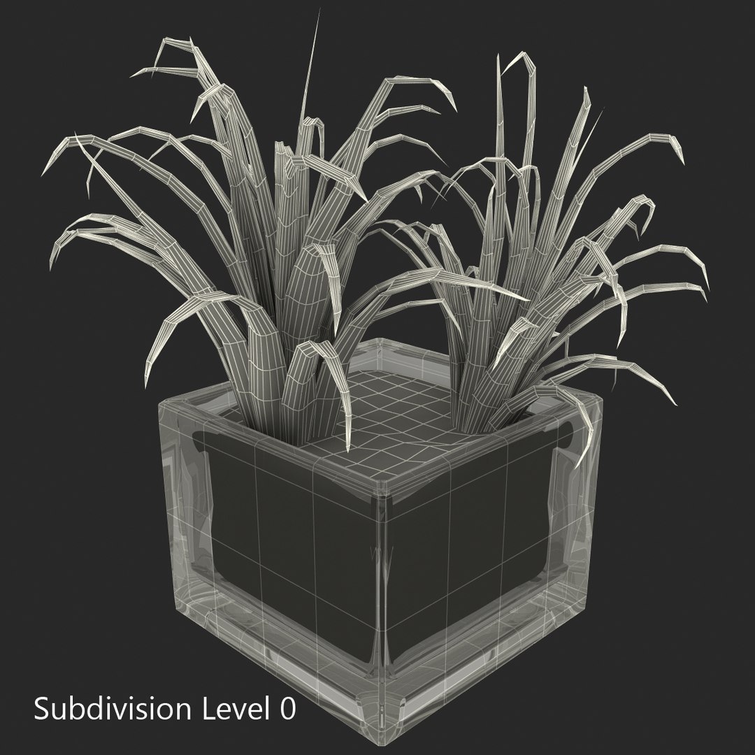 shrub dracaena square glass vase 3ds https://p.turbosquid.com/ts-thumb/X9/owHMa0/791DQXSw/shrubdracaenainsquareglassvase_7/jpg/1396473915/1920x1080/fit_q87/26eb4b17dcf0612bf90ea9275875fda41c1434fa/shrubdracaenainsquareglassvase_7.jpg