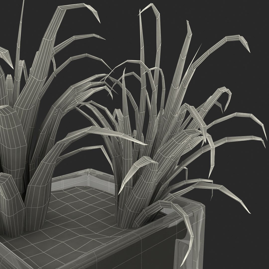 shrub dracaena square glass vase 3ds https://p.turbosquid.com/ts-thumb/X9/owHMa0/CkJaQsi8/shrubdracaenainsquareglassvase_37/jpg/1396474010/1920x1080/fit_q87/4707b9418e0fe691c1960674e001a7696cb8f341/shrubdracaenainsquareglassvase_37.jpg