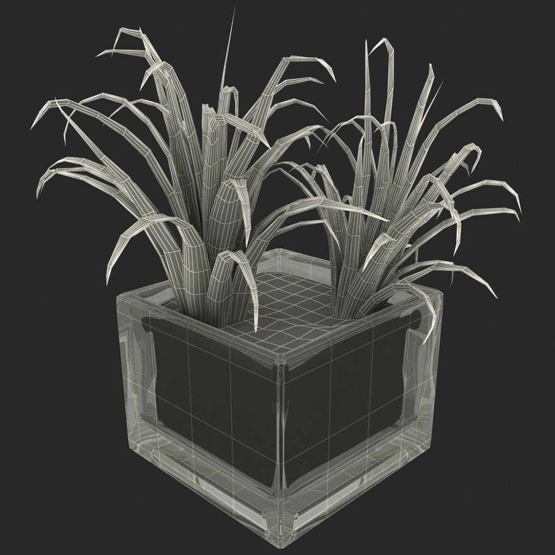 shrub dracaena square glass vase 3ds https://p.turbosquid.com/ts-thumb/X9/owHMa0/EVqdmy9g/shrubdracaenainsquareglassvase_27/jpg/1396473987/1920x1080/fit_q87/567d13ca1ff828f746f6e36af9ef925814e53220/shrubdracaenainsquareglassvase_27.jpg