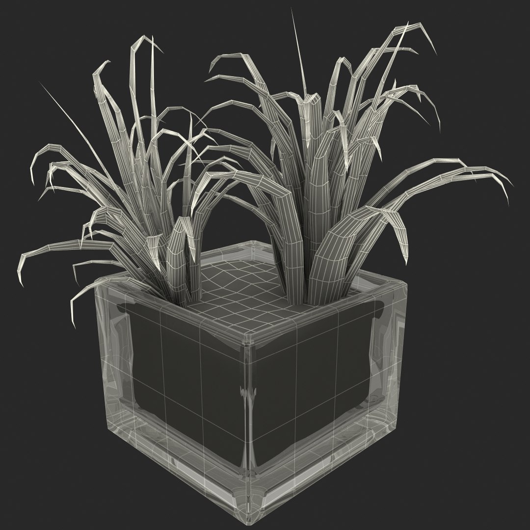 shrub dracaena square glass vase 3ds https://p.turbosquid.com/ts-thumb/X9/owHMa0/G0rubW7P/shrubdracaenainsquareglassvase_31/jpg/1396473988/1920x1080/fit_q87/9170858d7c6dce88b5d64e71e01285bb1dca019d/shrubdracaenainsquareglassvase_31.jpg