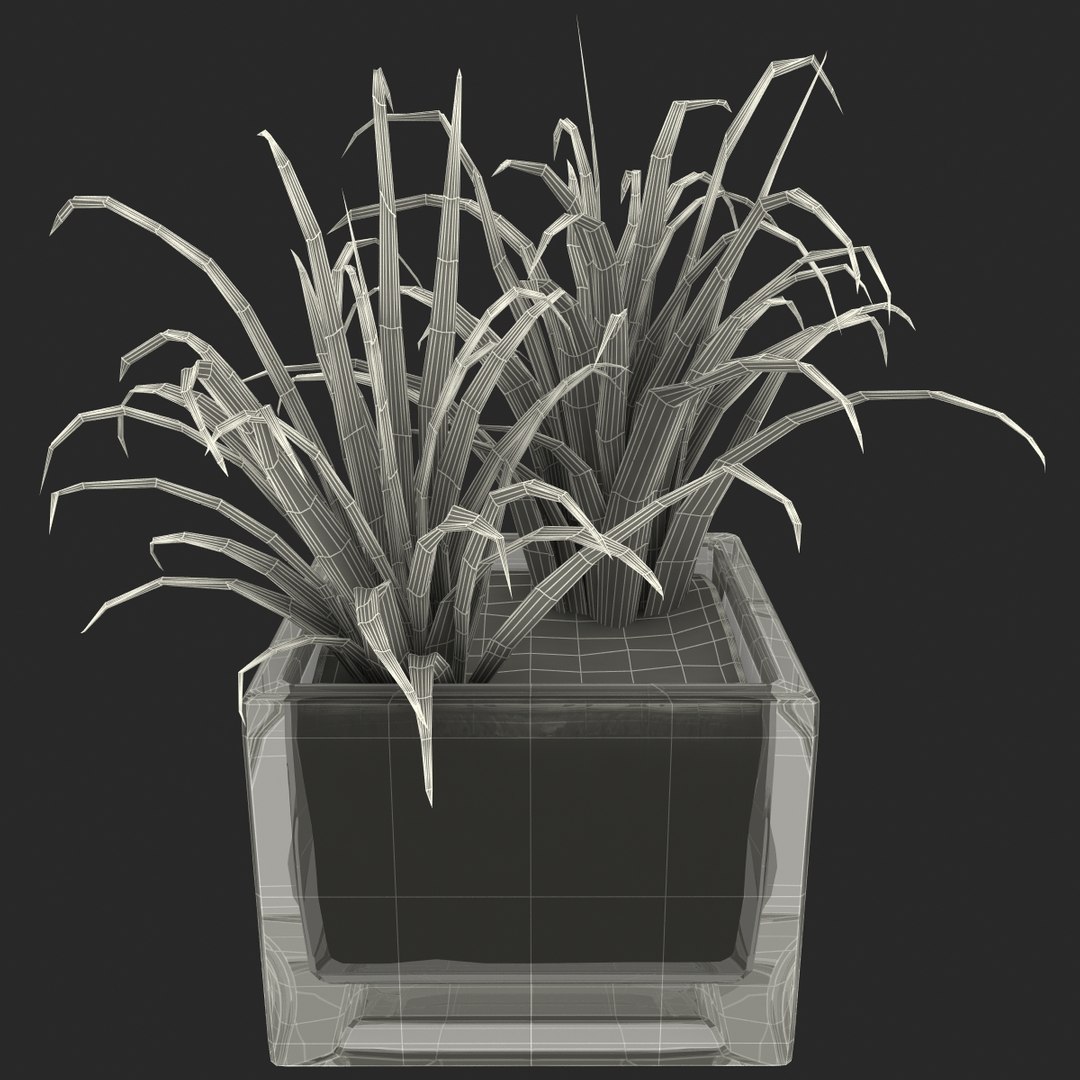shrub dracaena square glass vase 3ds https://p.turbosquid.com/ts-thumb/X9/owHMa0/ISAmrumL/shrubdracaenainsquareglassvase_32/jpg/1396473991/1920x1080/fit_q87/c10e412c6e7dbe7519fd5004704f747db02bfbf7/shrubdracaenainsquareglassvase_32.jpg