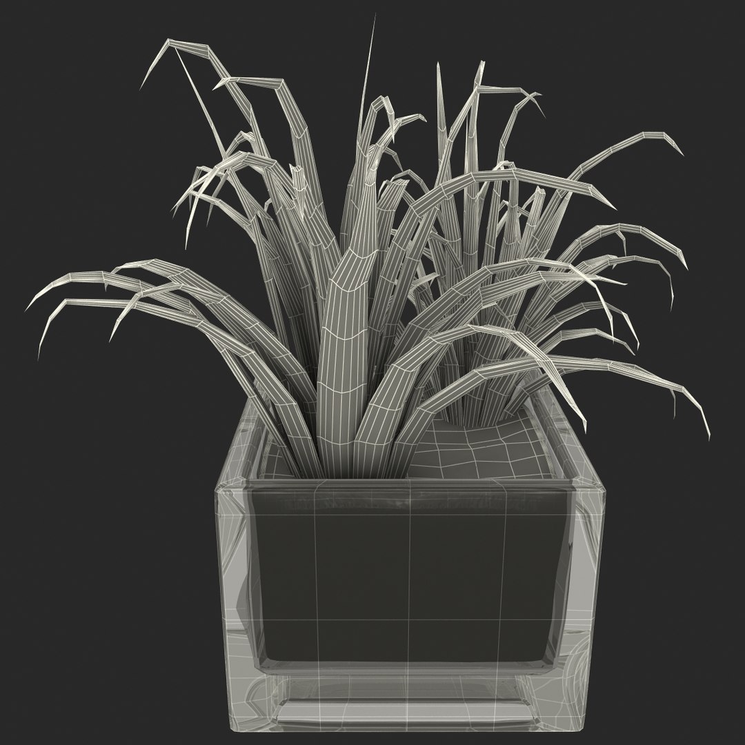 shrub dracaena square glass vase 3ds https://p.turbosquid.com/ts-thumb/X9/owHMa0/NDLloLVy/shrubdracaenainsquareglassvase_28/jpg/1396473991/1920x1080/fit_q87/c566b61b0a955b72df08b7d1486459801ed774c9/shrubdracaenainsquareglassvase_28.jpg