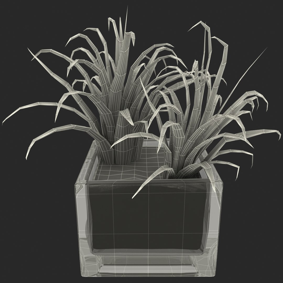 shrub dracaena square glass vase 3ds https://p.turbosquid.com/ts-thumb/X9/owHMa0/P99VZGDy/shrubdracaenainsquareglassvase_26/jpg/1396473971/1920x1080/fit_q87/c17598ba59bcb0e09a87022c3db7159c77e9d0e2/shrubdracaenainsquareglassvase_26.jpg