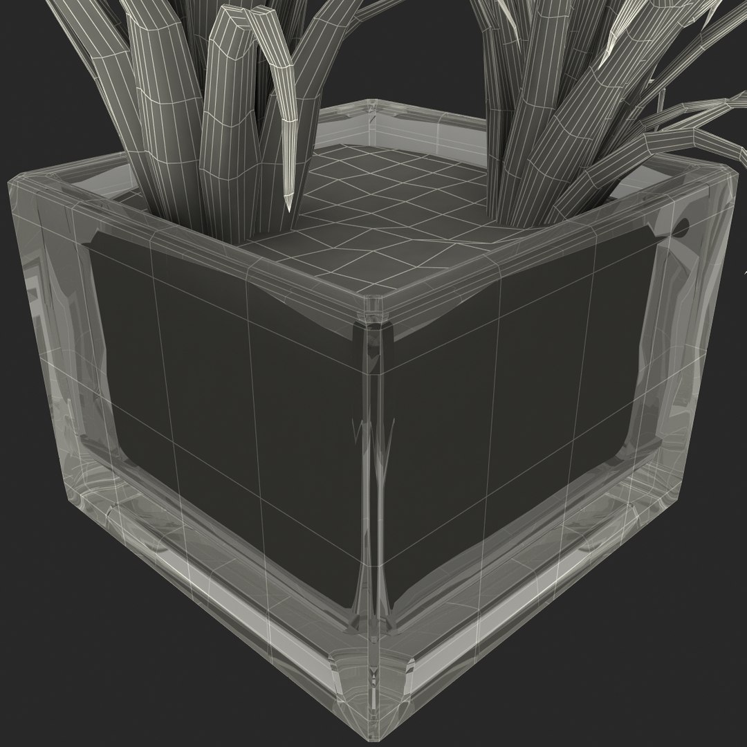 shrub dracaena square glass vase 3ds https://p.turbosquid.com/ts-thumb/X9/owHMa0/WVBUpxpR/shrubdracaenainsquareglassvase_38/jpg/1396474027/1920x1080/fit_q87/05dbc7b487cd3cafdeb7e9d17235dc78ea7886ea/shrubdracaenainsquareglassvase_38.jpg