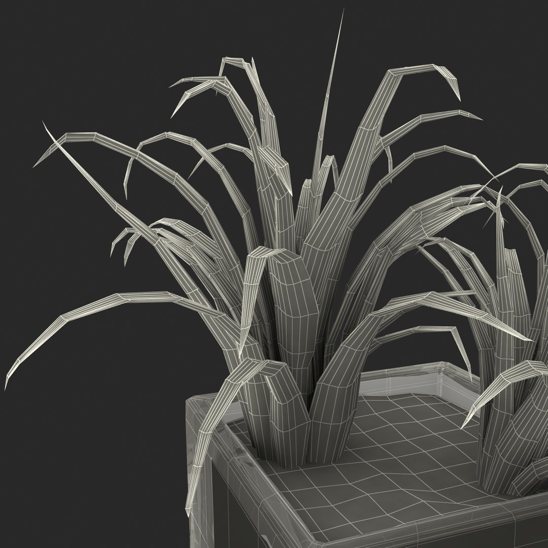 shrub dracaena square glass vase 3ds https://p.turbosquid.com/ts-thumb/X9/owHMa0/bc2IN3Mp/shrubdracaenainsquareglassvase_36/jpg/1396474007/1920x1080/fit_q87/4738c76cec8f3d0079c757bf9f32e35122d36d60/shrubdracaenainsquareglassvase_36.jpg