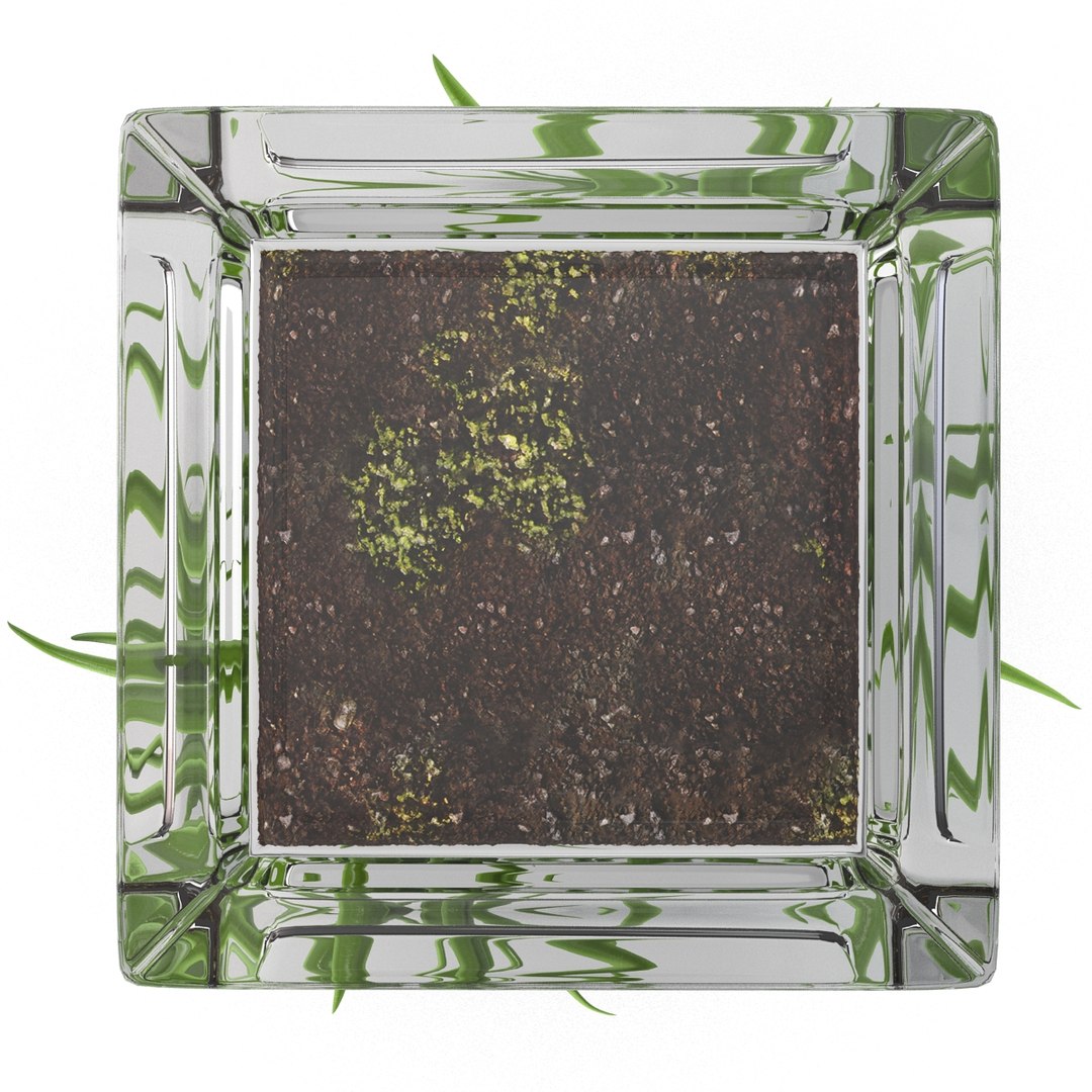 shrub dracaena square glass vase 3ds https://p.turbosquid.com/ts-thumb/X9/owHMa0/dSp2IF3r/shrubdracaenainsquareglassvase_17/jpg/1396473936/1920x1080/fit_q87/36055e374efc00c3b2087d10a1f05e423967a0b0/shrubdracaenainsquareglassvase_17.jpg