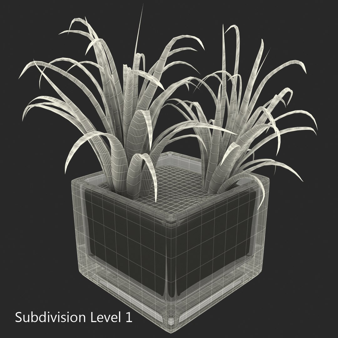 shrub dracaena square glass vase 3ds https://p.turbosquid.com/ts-thumb/X9/owHMa0/hTzUJ5CP/shrubdracaenainsquareglassvase_8/jpg/1396473905/1920x1080/fit_q87/789d67c996cd3275182c82c338e42b016e4dbd89/shrubdracaenainsquareglassvase_8.jpg