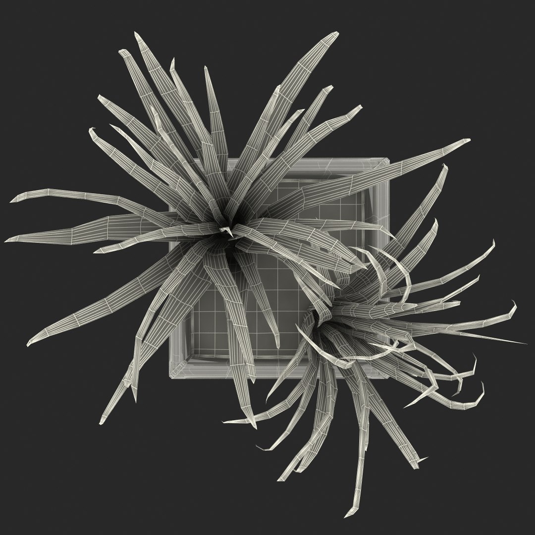 shrub dracaena square glass vase 3ds https://p.turbosquid.com/ts-thumb/X9/owHMa0/iyh5WZtT/shrubdracaenainsquareglassvase_34/jpg/1396474011/1920x1080/fit_q87/39d012e991cffcba0be9e9b7aace54be7188d3ac/shrubdracaenainsquareglassvase_34.jpg