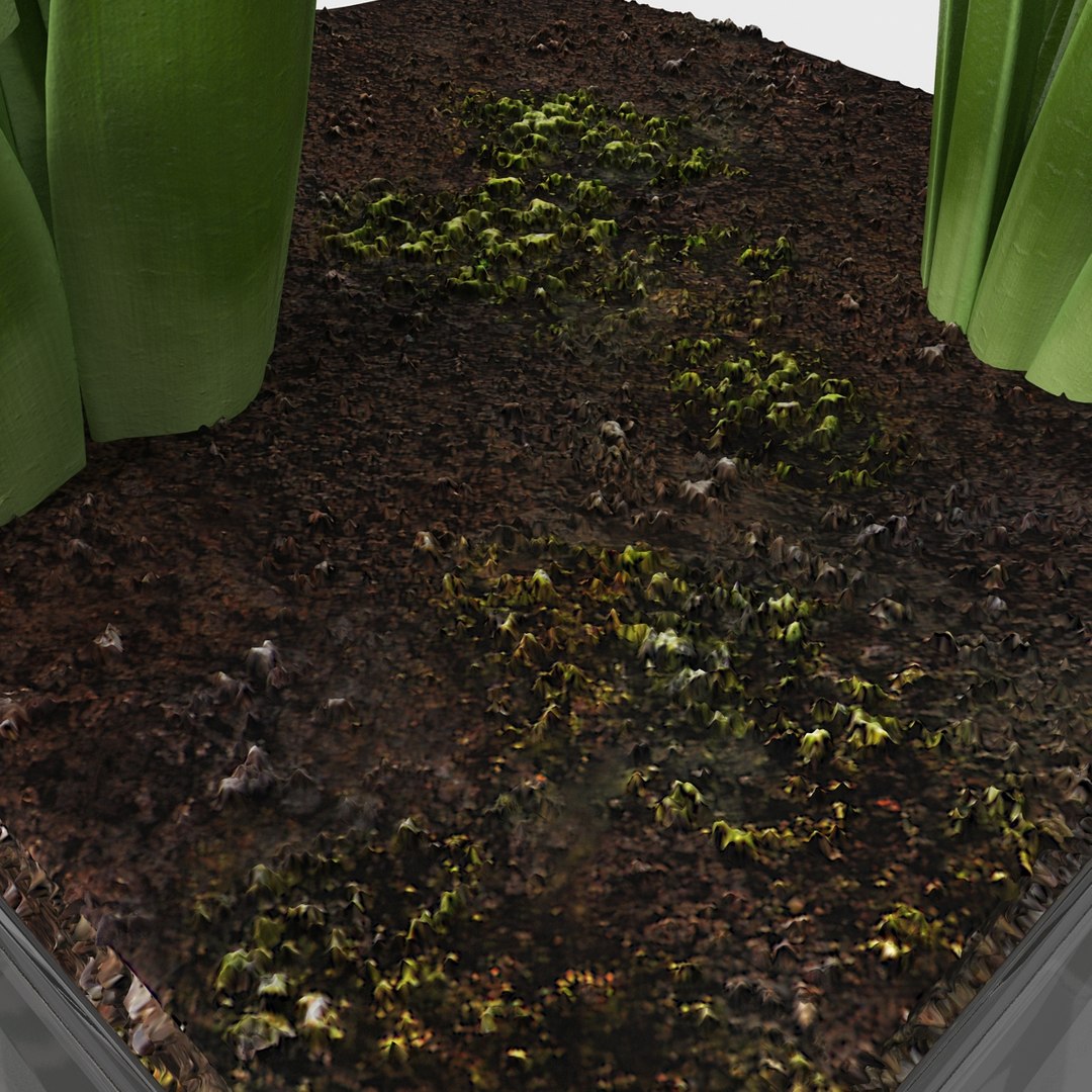 shrub dracaena square glass vase 3ds https://p.turbosquid.com/ts-thumb/X9/owHMa0/lqMD338B/shrubdracaenainsquareglassvase_24/jpg/1396473964/1920x1080/fit_q87/ce3c0114d81357c40c9486c600825875dc857704/shrubdracaenainsquareglassvase_24.jpg