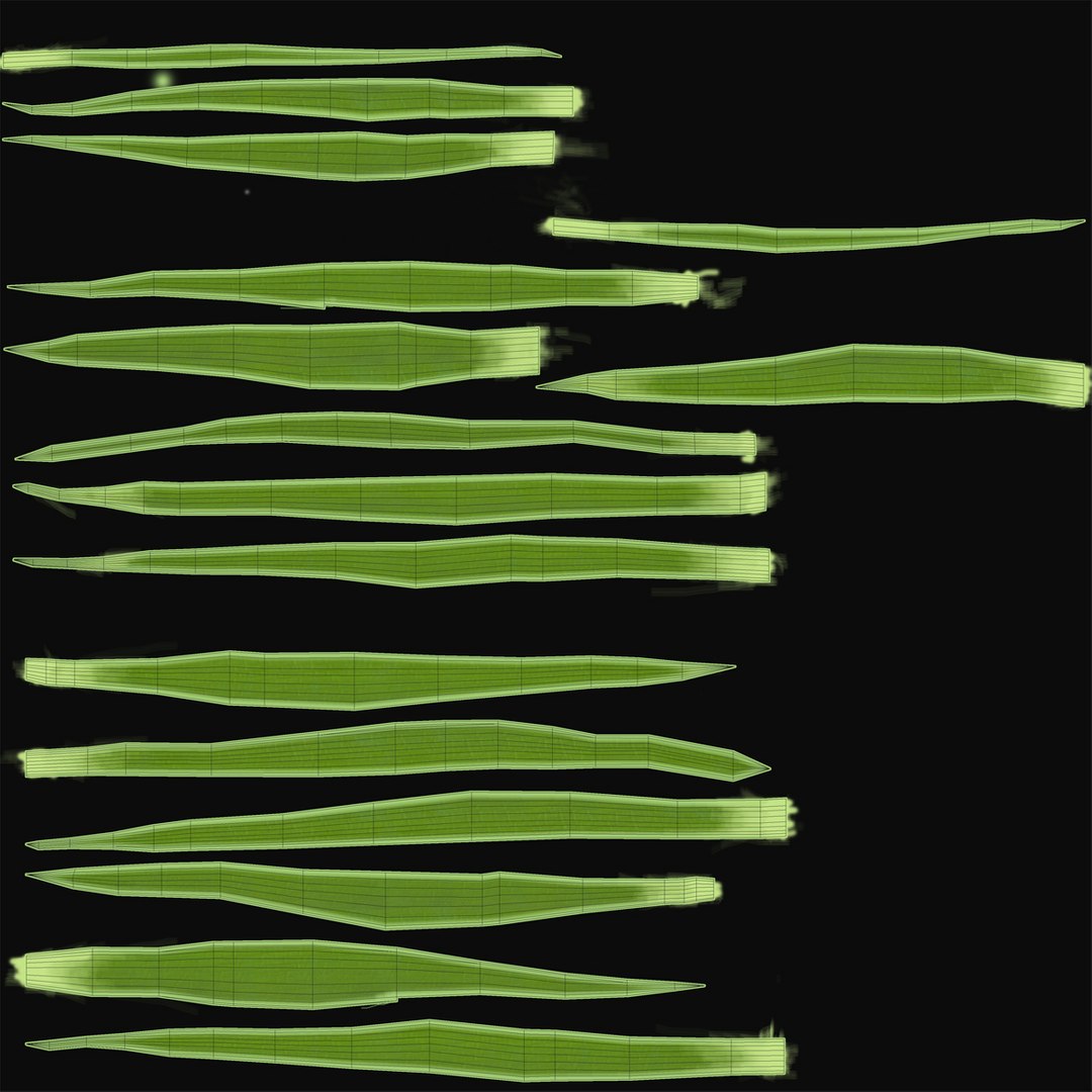 shrub dracaena square glass vase 3ds https://p.turbosquid.com/ts-thumb/X9/owHMa0/qoQ0g9EL/shrubdracaenainsquareglassvase_3/jpg/1396473886/1920x1080/fit_q87/7af6ac19c5467833d8d921d543c51f14c524dc70/shrubdracaenainsquareglassvase_3.jpg