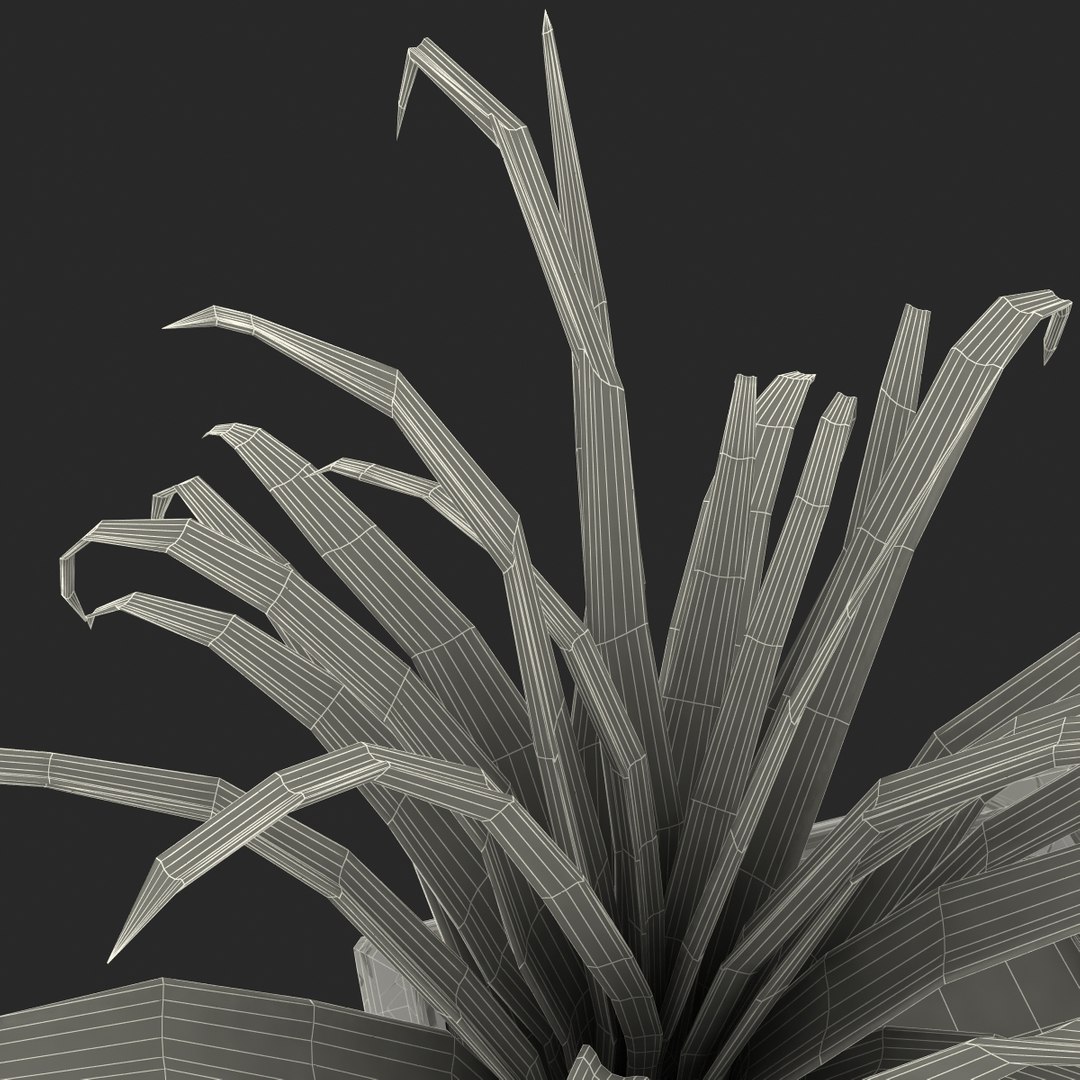 shrub dracaena square glass vase 3ds https://p.turbosquid.com/ts-thumb/X9/owHMa0/rdn3QDKJ/shrubdracaenainsquareglassvase_41/jpg/1396474026/1920x1080/fit_q87/03d4a239dd95f9f5d2e001ab384b448d2f9603f4/shrubdracaenainsquareglassvase_41.jpg
