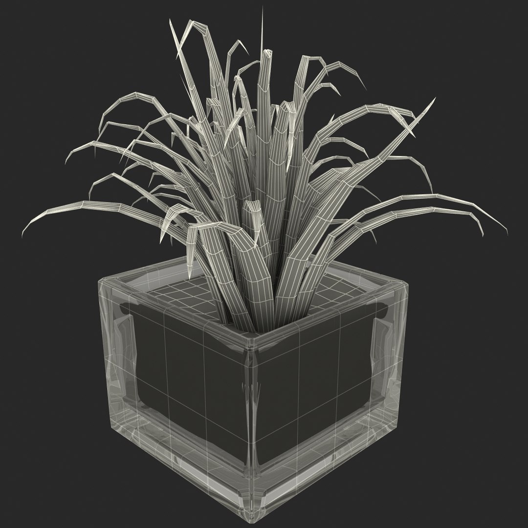 shrub dracaena square glass vase 3ds https://p.turbosquid.com/ts-thumb/X9/owHMa0/twLFwtED/shrubdracaenainsquareglassvase_29/jpg/1396473982/1920x1080/fit_q87/a639770bb0a8f2f08fb2fed1c4c483fd37fe9519/shrubdracaenainsquareglassvase_29.jpg