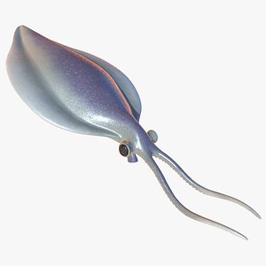 3D nectocaris pteryx