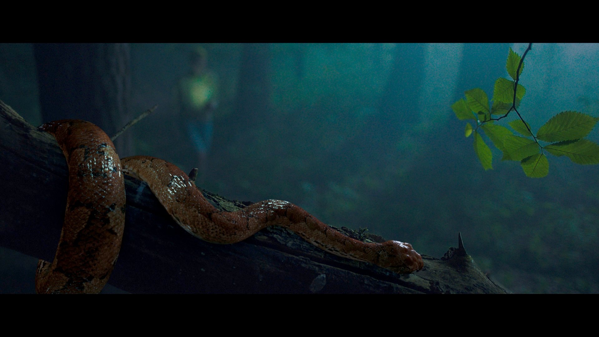 rigged snake 3d max https://p.turbosquid.com/ts-thumb/X9/uHjdwZ/lfIHMmpI/snake_5/jpg/1473677799/1920x1080/fit_q87/689d68ce019e143cb164a0c17a822a63d8d43bdf/snake_5.jpg