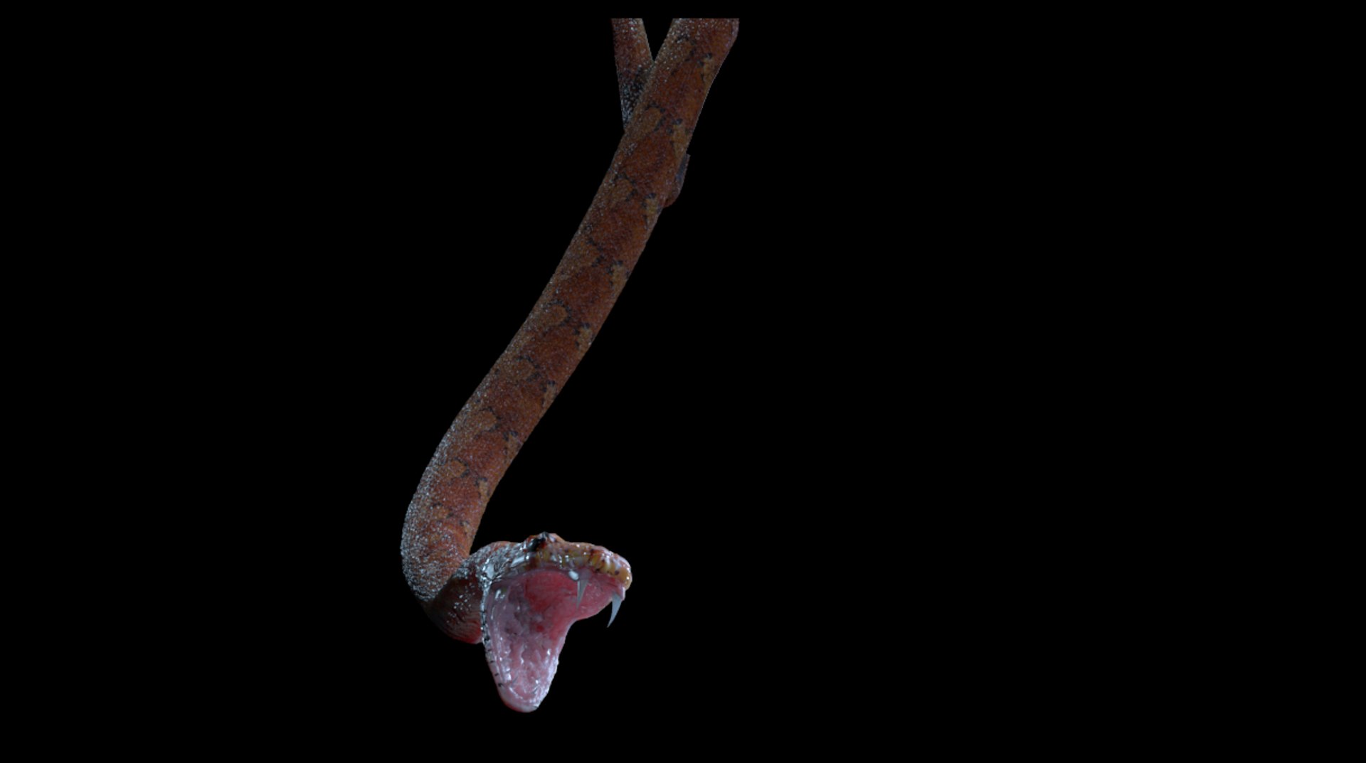 rigged snake 3d max https://p.turbosquid.com/ts-thumb/X9/uHjdwZ/lvsSZYpy/20160912_135328/png/1473677799/1920x1080/fit_q87/a86c7b4e176525397b11aa16b27635fcfef10111/20160912_135328.jpg