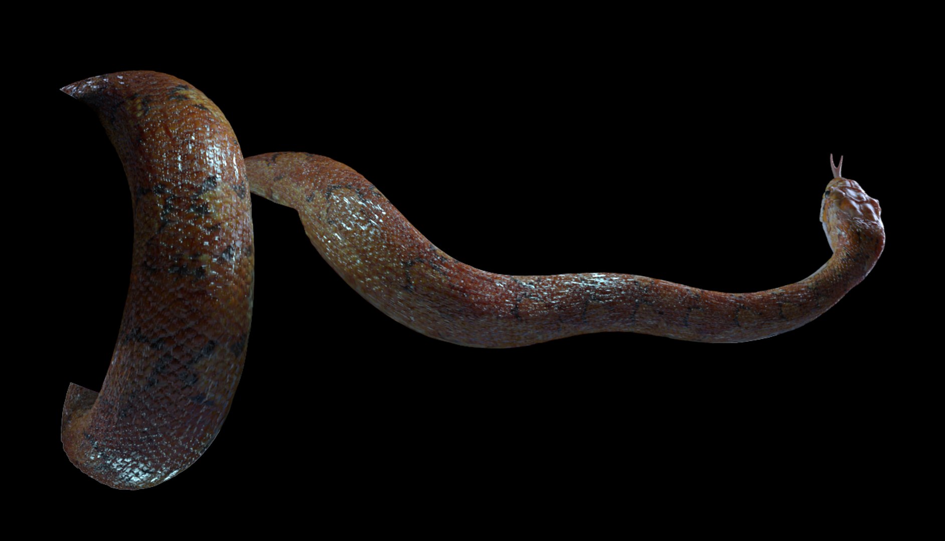rigged snake 3d max https://p.turbosquid.com/ts-thumb/X9/uHjdwZ/oYcNavsG/20160912_135229/png/1473677799/1920x1080/fit_q87/21f0367a2565eeb9956e0998b1a360f8f0d20d7d/20160912_135229.jpg