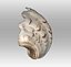 3D shell