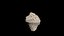 3D shell