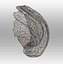 3D shell