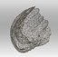3D shell