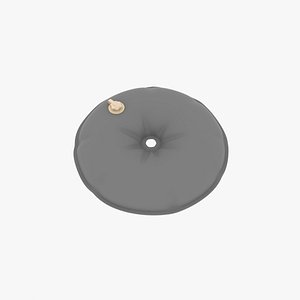 3D model water bag