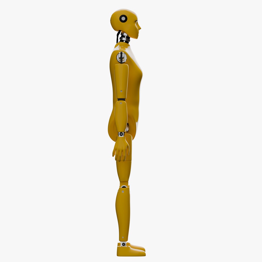 Rigged Crash Test Female and Child Mannequin 3D model https://p.turbosquid.com/ts-thumb/XA/JK6LEu/DC/fem07/png/1709490641/1920x1080/fit_q87/f4f3a83ae1b7a314e76a5159d2e612daa5047660/fem07.jpg