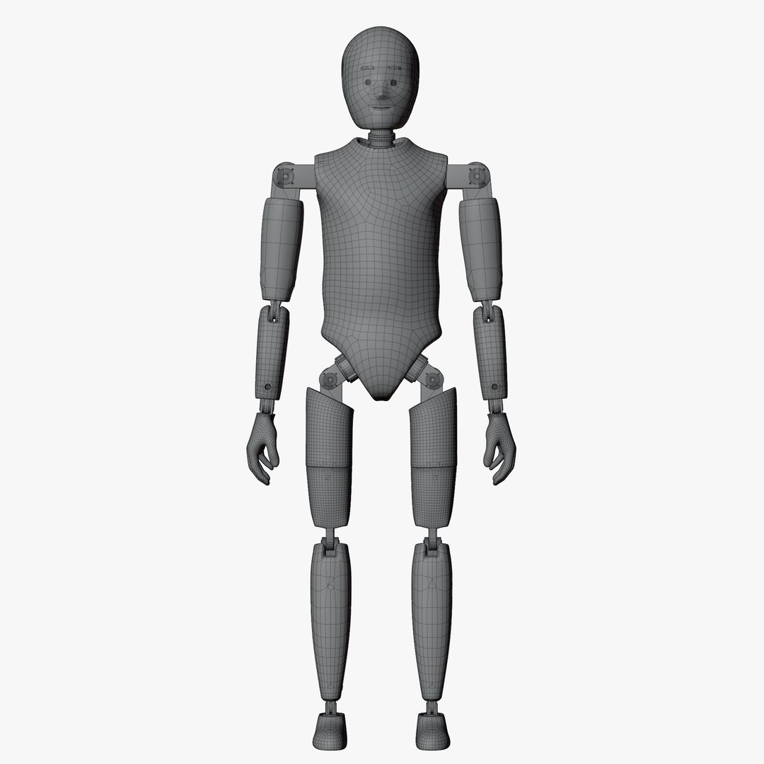 Rigged Crash Test Female and Child Mannequin 3D model https://p.turbosquid.com/ts-thumb/XA/JK6LEu/Q9/wirechildnopose01/png/1709492461/1920x1080/fit_q87/d421b58790d1ea7a862cb38116ed6d1a425b4422/wirechildnopose01.jpg