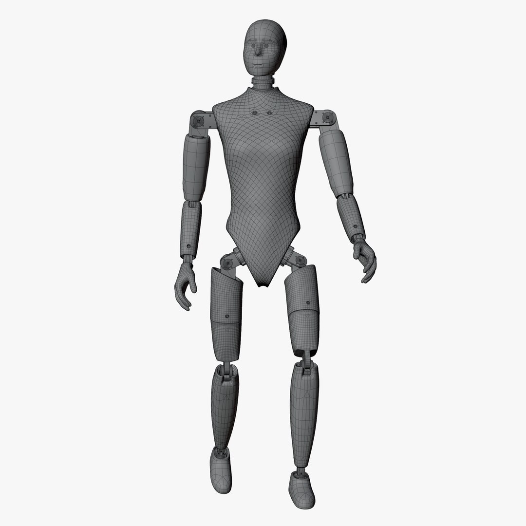 Rigged Crash Test Female and Child Mannequin 3D model https://p.turbosquid.com/ts-thumb/XA/JK6LEu/RR/wireposefemale1/png/1709490583/1920x1080/fit_q87/736377e27e4d1e74d89dc3cc4a054fad046a9c3e/wireposefemale1.jpg