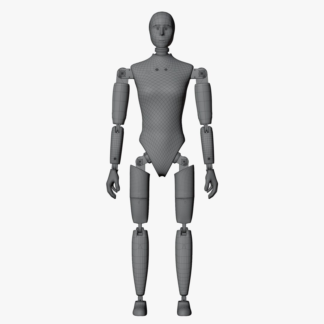 Rigged Crash Test Female and Child Mannequin 3D model https://p.turbosquid.com/ts-thumb/XA/JK6LEu/TL/wirefemnopose01/png/1709491053/1920x1080/fit_q87/2547236bb0ffff1c5f4ca21b31ef51203f313a83/wirefemnopose01.jpg