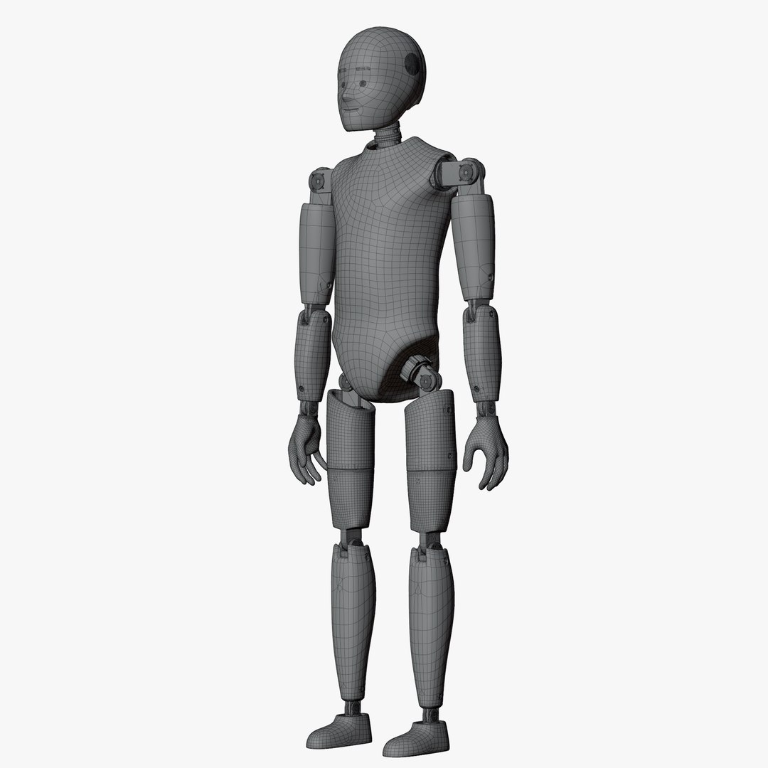 Rigged Crash Test Female and Child Mannequin 3D model https://p.turbosquid.com/ts-thumb/XA/JK6LEu/hJ/wirechildnopose02/png/1709492461/1920x1080/fit_q87/abc77fcd39b6e14e335e0a94c919243e483e5398/wirechildnopose02.jpg