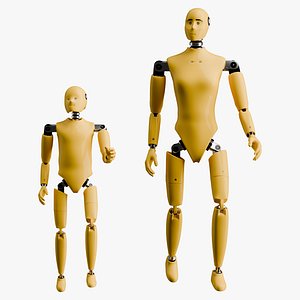 Rigged Crash Test Female and Child Mannequin