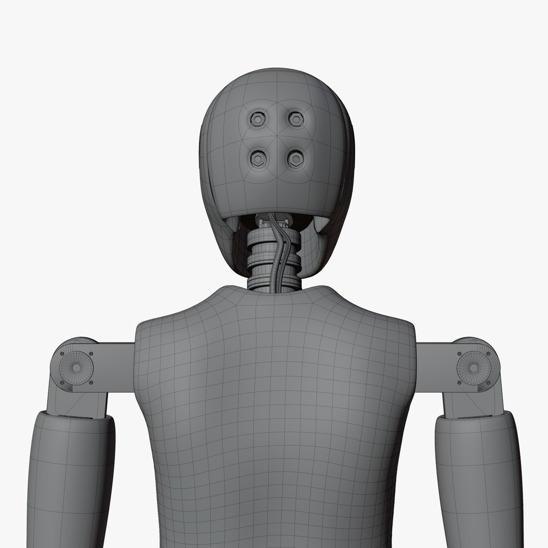 Rigged Crash Test Female and Child Mannequin 3D model https://p.turbosquid.com/ts-thumb/XA/JK6LEu/y4/wirechildnopose13/png/1709492469/1920x1080/fit_q87/eca609a3fdfad100642f2b28e985d0b3f867779d/wirechildnopose13.jpg