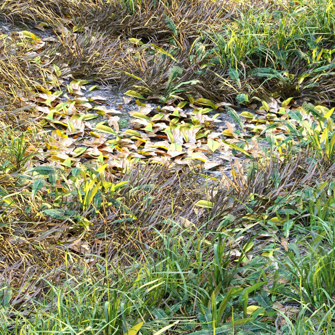 3D Meadow 2 https://p.turbosquid.com/ts-thumb/XA/WmQrfI/3M/preview6m/jpg/1662266517/1920x1080/fit_q87/873f5dc9935226e5aa4869d5d22e26ed59cbaff0/preview6m.jpg