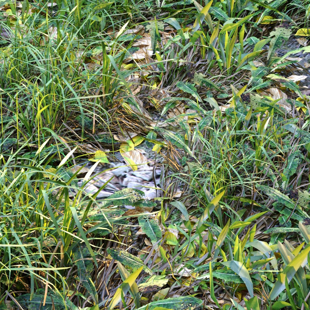 3D Meadow 2 https://p.turbosquid.com/ts-thumb/XA/WmQrfI/d6/preview7m/jpg/1662266519/1920x1080/fit_q87/aa18981bf44ec9deafd4ccdc1bc02cf130af356a/preview7m.jpg