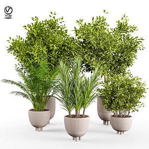 indoor Plant Set 07 3D model