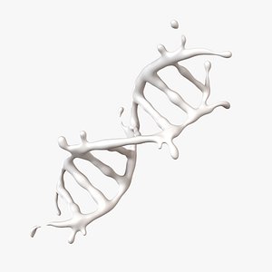 3D model Splash Milk Fluid 16