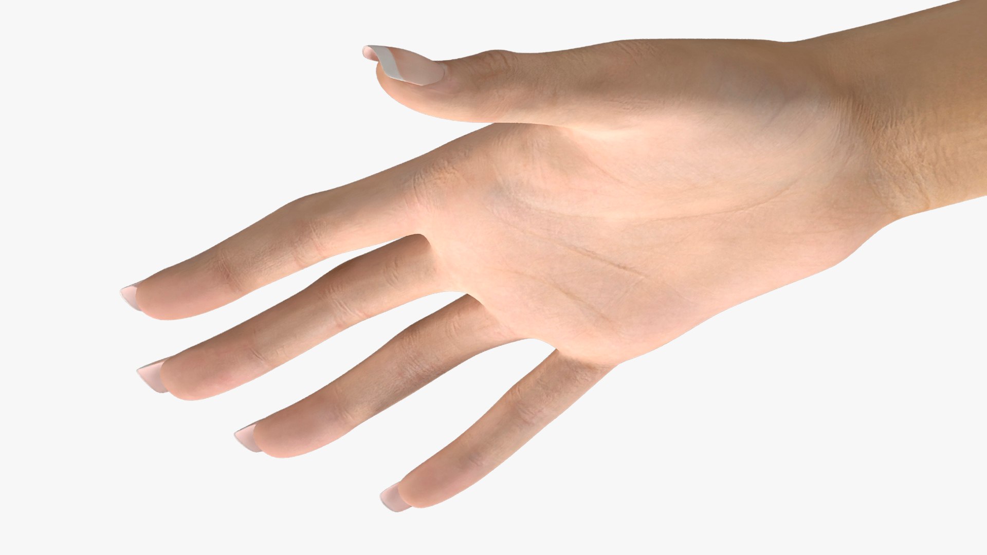 Female Hands Rigged for Cinema 4D Collection 3D model https://p.turbosquid.com/ts-thumb/XA/rTvxlM/Ht/femaleriggedhands3dmodel_c4d_018/jpg/1769778666/1920x1080/fit_q87/c252a75af6b6cc3391b66f8e1cf306fddec203e7/femaleriggedhands3dmodel_c4d_018.jpg