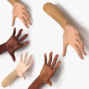 Female Hands Rigged for Cinema 4D Collection 3D model