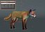Red Fox (FUR) (ANIMATED)