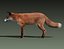 Red Fox (FUR) (ANIMATED)
