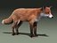 Red Fox (FUR) (ANIMATED)