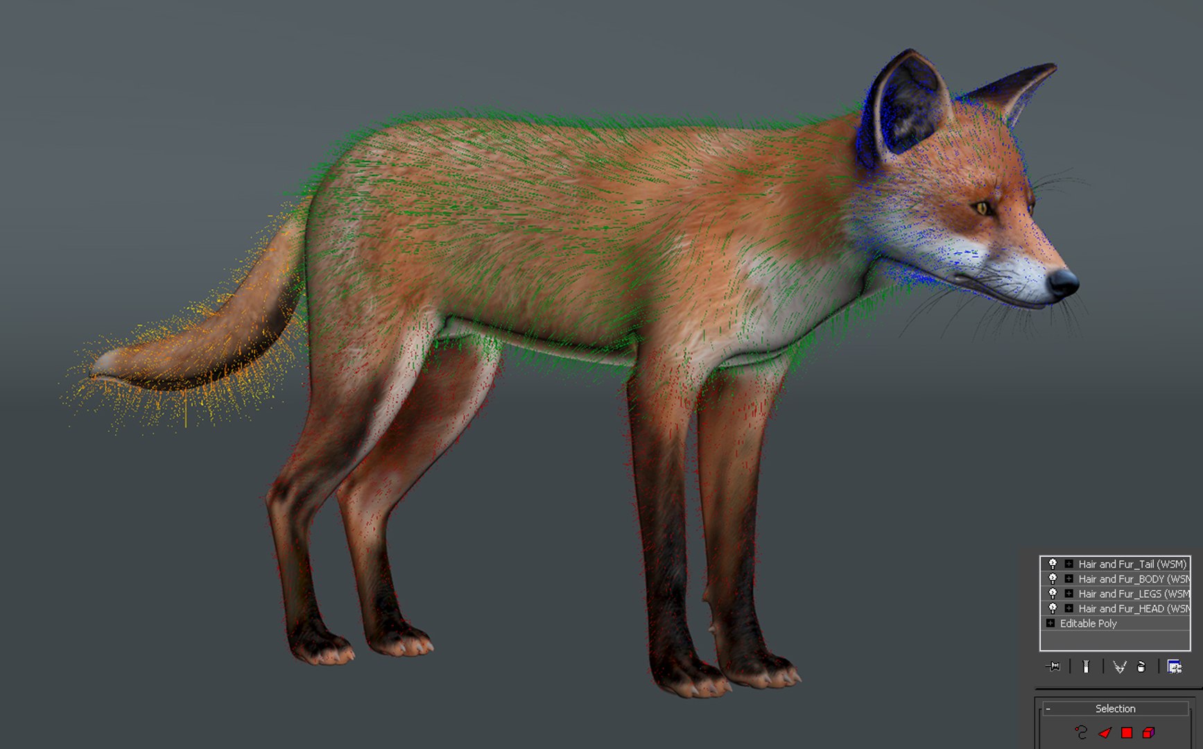 red fox fur hair animation 3d model https://p.turbosquid.com/ts-thumb/XA/tMfh1Q/H6exUO6v/red_fox_fur_13/jpg/1443968751/1920x1080/fit_q87/e565f8f2fe8fab2d9b6e3b271391e687a2f5a0b2/red_fox_fur_13.jpg