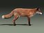 Red Fox (FUR) (ANIMATED)