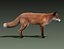 Red Fox (FUR) (ANIMATED)