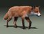 Red Fox (FUR) (ANIMATED)