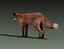 Red Fox (FUR) (ANIMATED)
