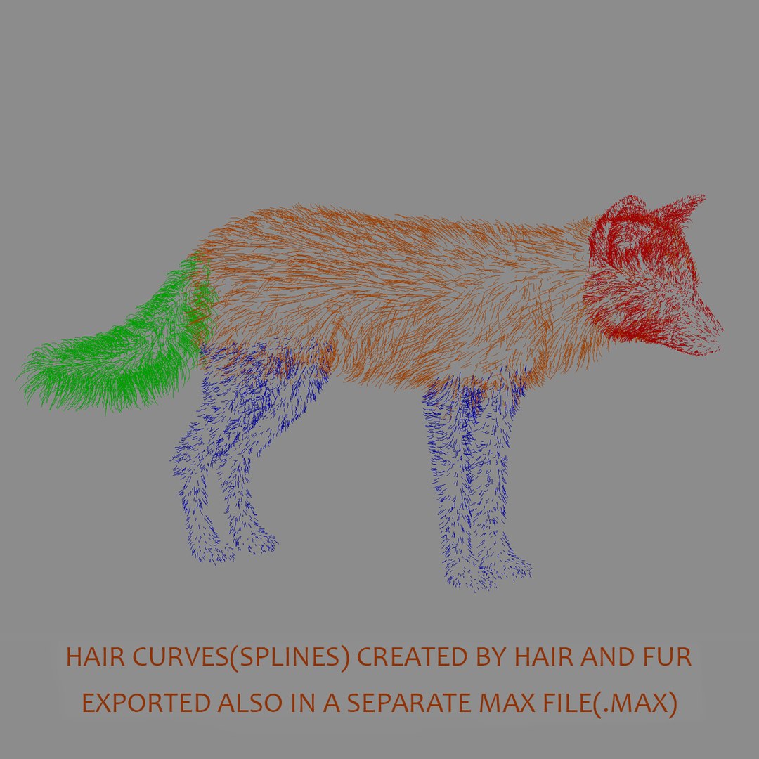 red fox fur hair animation 3d model https://p.turbosquid.com/ts-thumb/XA/tMfh1Q/oQERkYJx/red_fox_fur_14/jpg/1443968751/1920x1080/fit_q87/066e9360306bf96f0cac587a8cafd7aeeae8043e/red_fox_fur_14.jpg