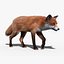 Red Fox (FUR) (ANIMATED)